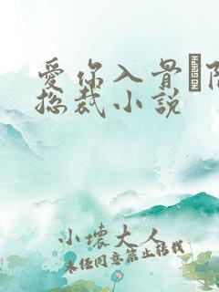 爱你入骨·隐婚总裁小说