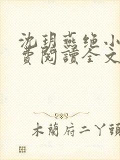 沈玥燕绝小说免费阅读全文最新章节
