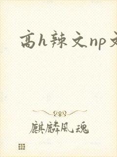 高h辣文np文