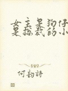 女主是狗仔男主是总裁的小说