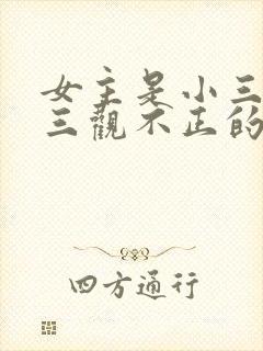 女主是小三上位三观不正的小说