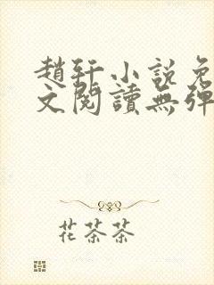 赵轩小说免费全文阅读无弹窗