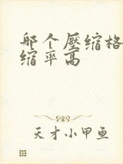 哪个压缩格式压缩率高