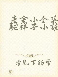 老舍小全集·骆驼祥子小说无弹窗