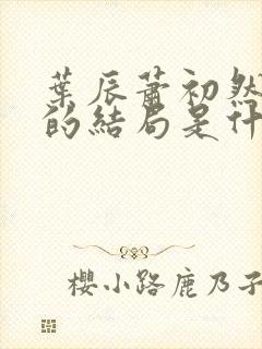 叶辰萧初然最后的结局是什么