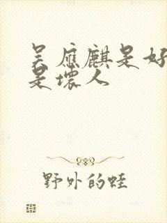 吴应麒是好人还是坏人