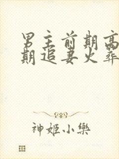 男主前期高冷后期追妻火葬场的古言