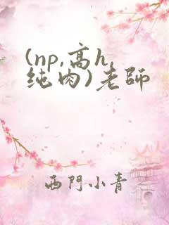 (np,高h,纯肉)老师