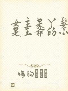 女主是丫鬟男主是王爷的小说