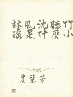 林风沈听竹陈贝瑶是什么小说