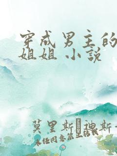 穿成男主的反派姐姐 小说
