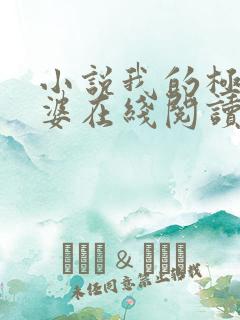 小说我的极品老婆在线阅读