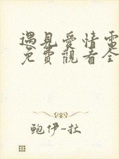 遇见爱情电视剧免费观看全集高清