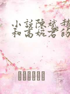 小说陈斌赵心媚和高婉君的小说免费阅读