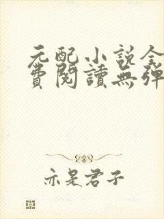 元配小说全文免费阅读无弹窗