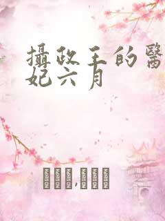 摄政王的医品王妃六月