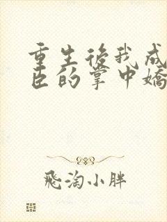 重生后我成了权臣的掌中娇全
