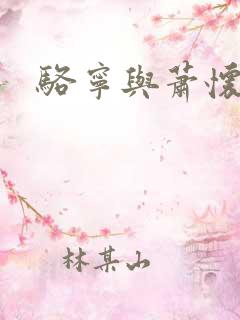 骆宁与萧怀沣