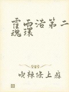 霍雨浩第二武魂魂环