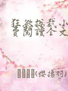 狂欲总裁小说免费阅读全文