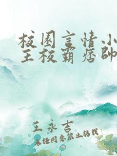 校园言情小说男主校霸痞帅