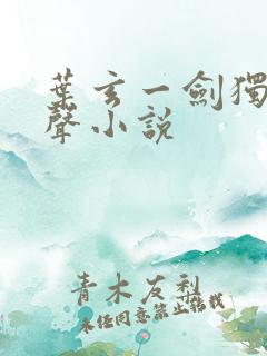 叶玄一剑独尊有声小说