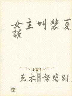 女主叫裴夏的小说