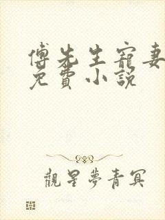 傅先生宠妻无度免费小说