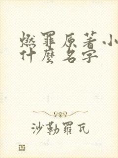 燃罪原著小说叫什么名字