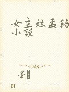 女主姓孟的现言小说