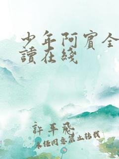 少年阿宾全文阅读在线