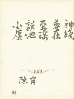 小说至尊神皇叶尘池瑶在线阅读