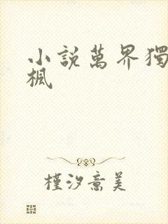 小说万界独尊林枫