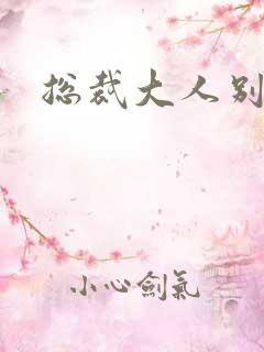 总裁大人别太坏