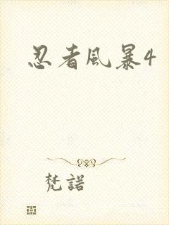 忍者风暴4