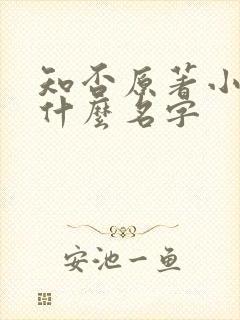 知否原著小说叫什么名字