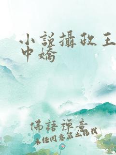 小说摄政王的掌中娇
