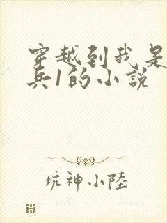 穿越到我是特种兵1的小说