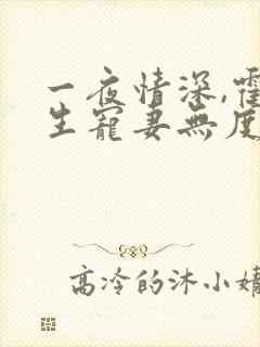 一夜情深,霍先生宠妻无度全集小说