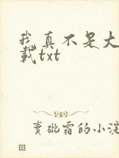 我真不是大佬下载txt