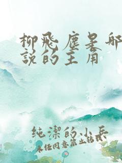 柳飞尘是哪部小说的主角