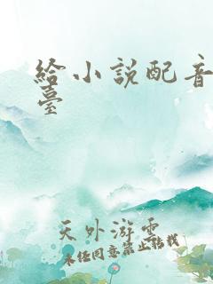 给小说配音的平台