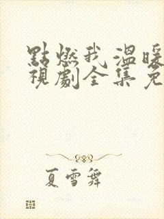 点燃我温暖你电视剧全集免费观看