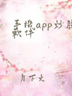 手机app炒股软件
