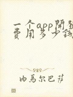 一个app开发费用多少钱