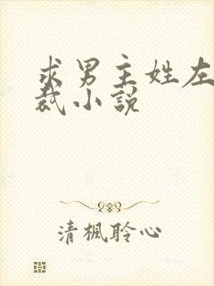 求男主姓左的总裁小说