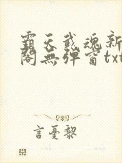霸天武魂新笔趣阁无弹窗txt