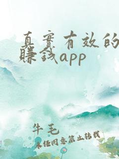 真实有效的打字赚钱app