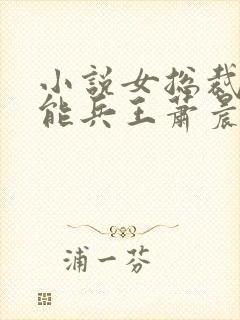 小说女总裁的全能兵王萧晨免费全本阅读