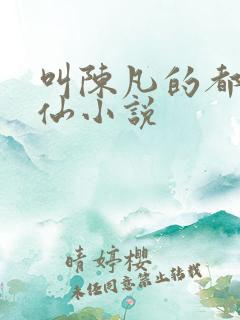 叫陈凡的都市修仙小说